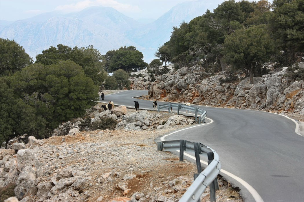 Katharo Plateau